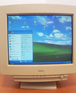 Vintage Monitor DELL P910 17" CRT -1998year